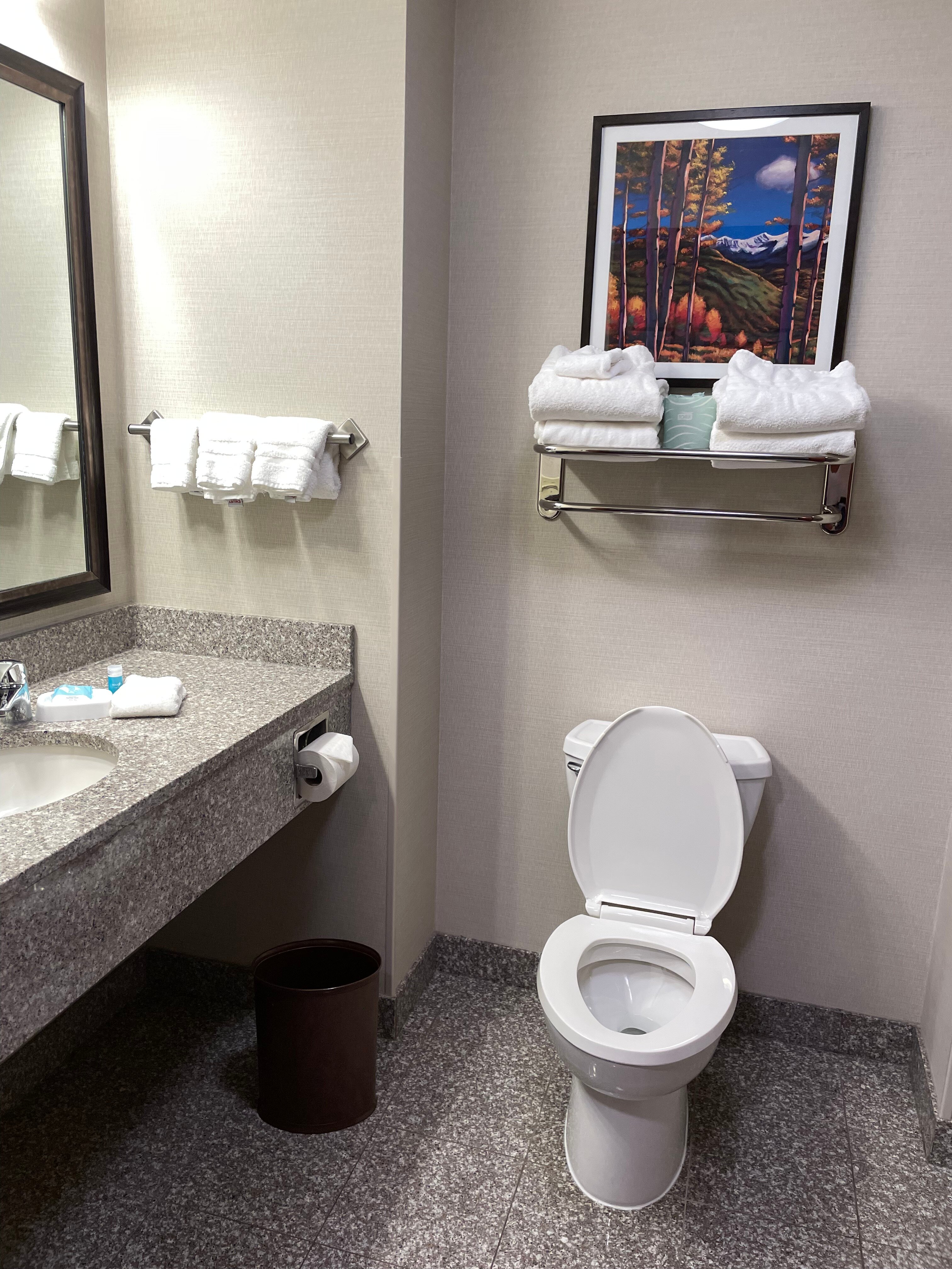 Drury Plaza Hotel Denver Westminster-浴室