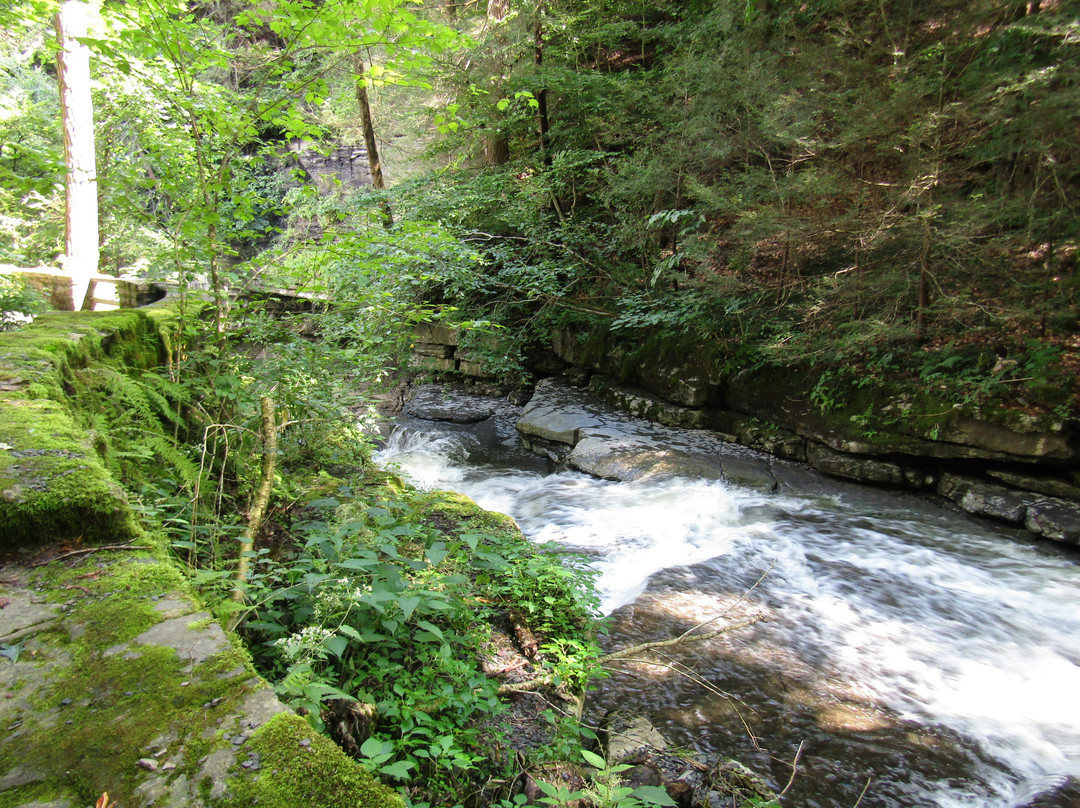 Fillmore Glen State Park景点图片