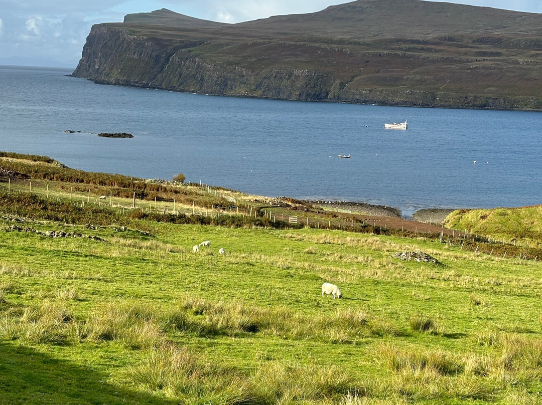 Carters Rest Holiday Lets主图