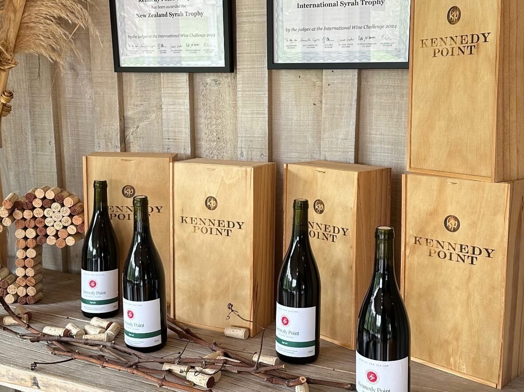 Kiwi Connect - Auckland  Guided Tours-奥克兰中心地区必去景点