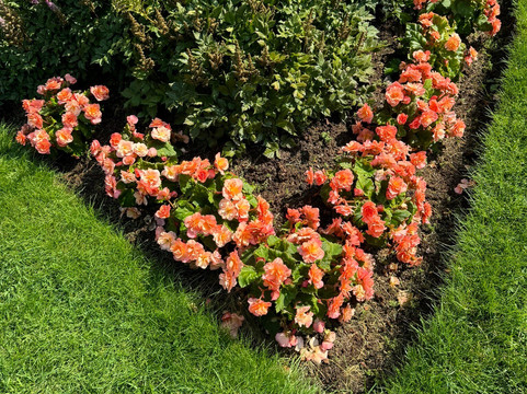 Duncan's Island Tours-夏洛特镇必去景点