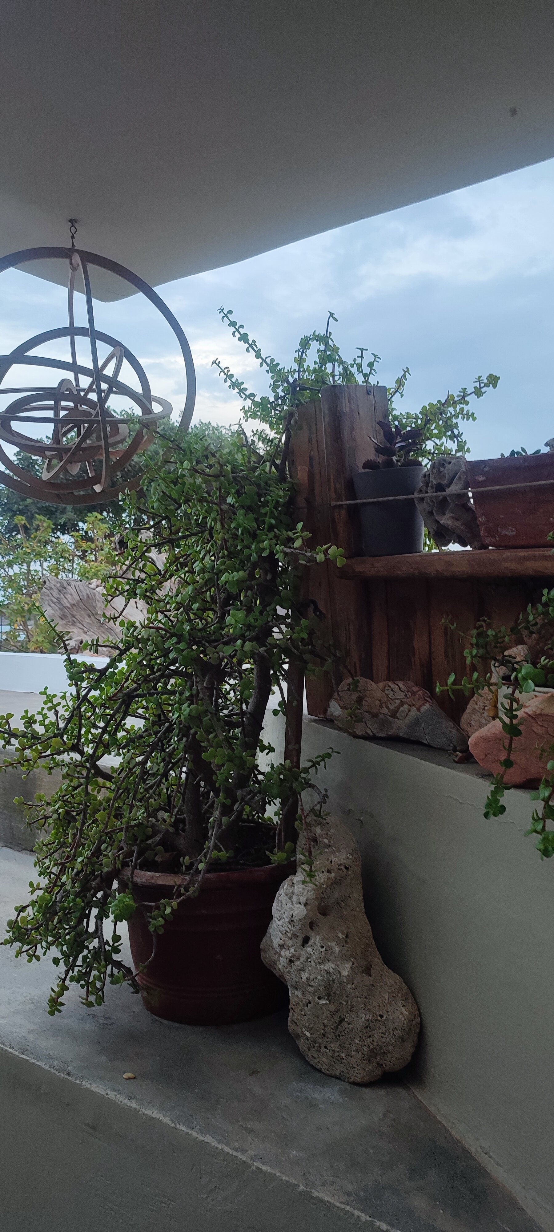 Domatia Me Thea-官方