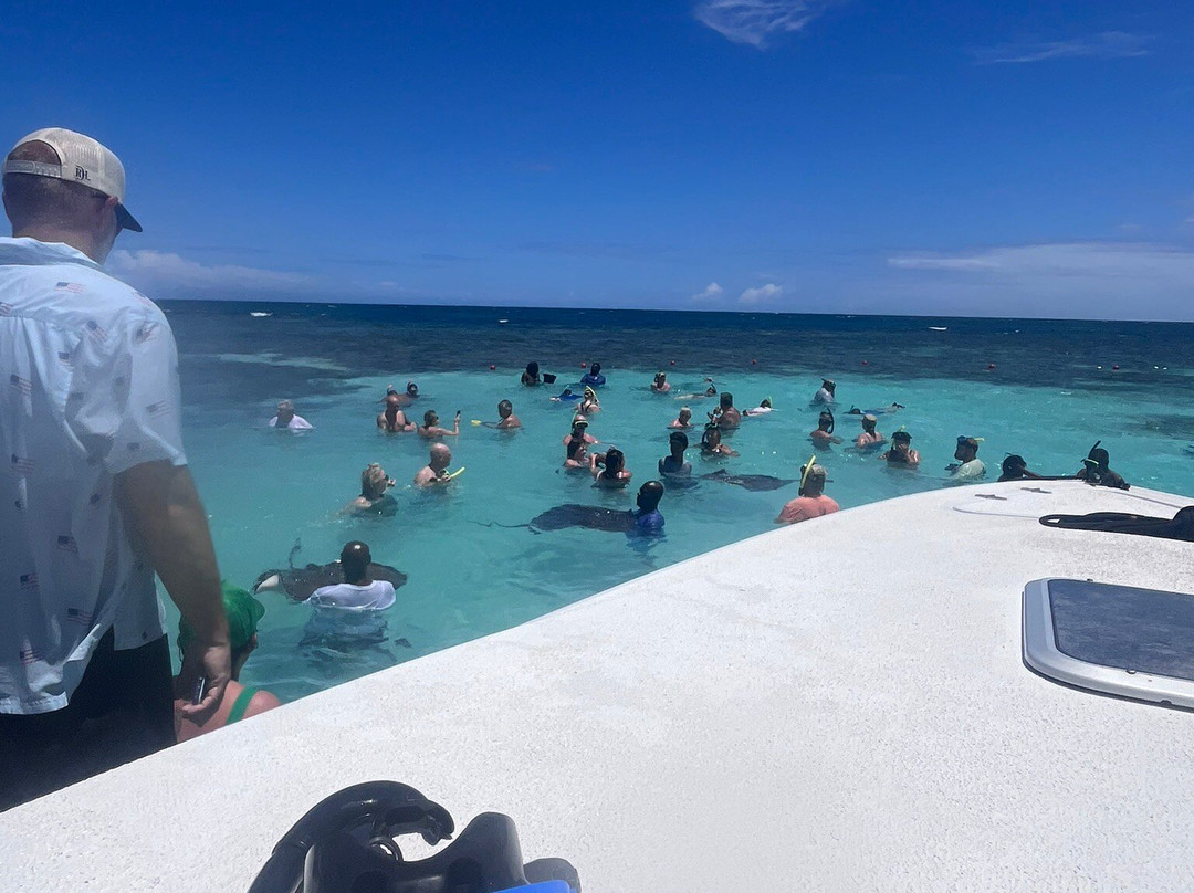 Stingray City景点图片