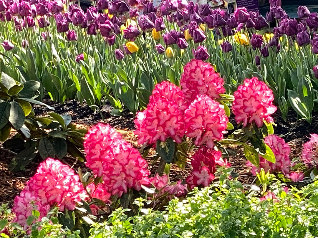 The Corbett Gardens-鲍勒尔必去景点