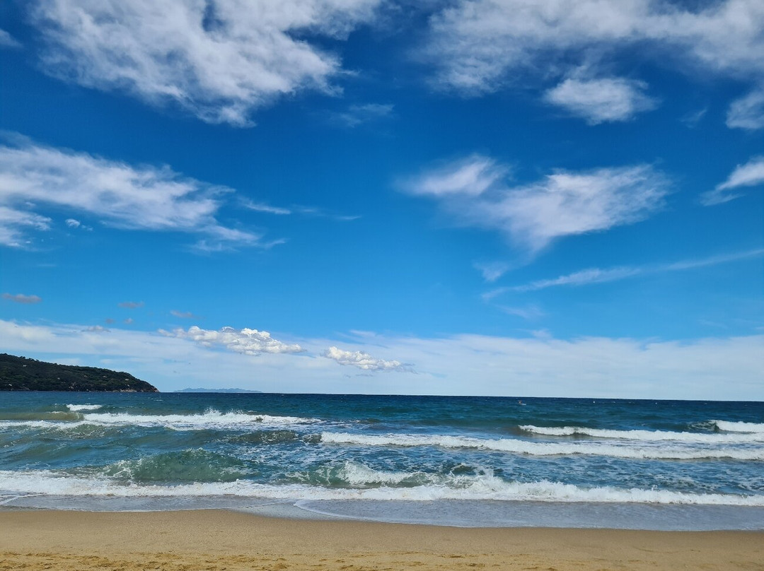 Stabilimento Balneare Il Delfino景点图片