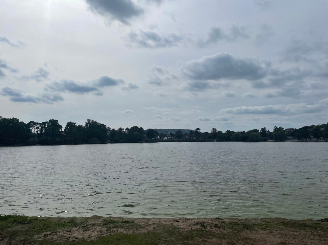 Petersfield Lake景点图片