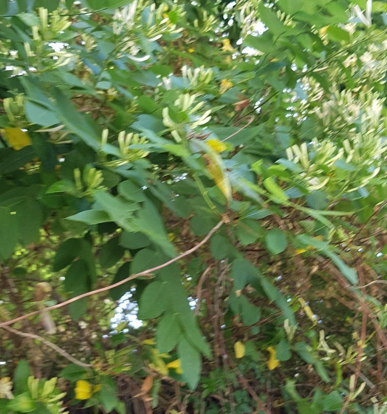 Gölbaşı Kent Parkı-Golbasi必去景点