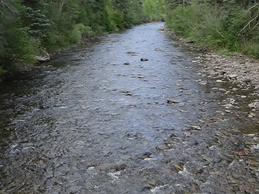 Circle K Guest Ranch主图