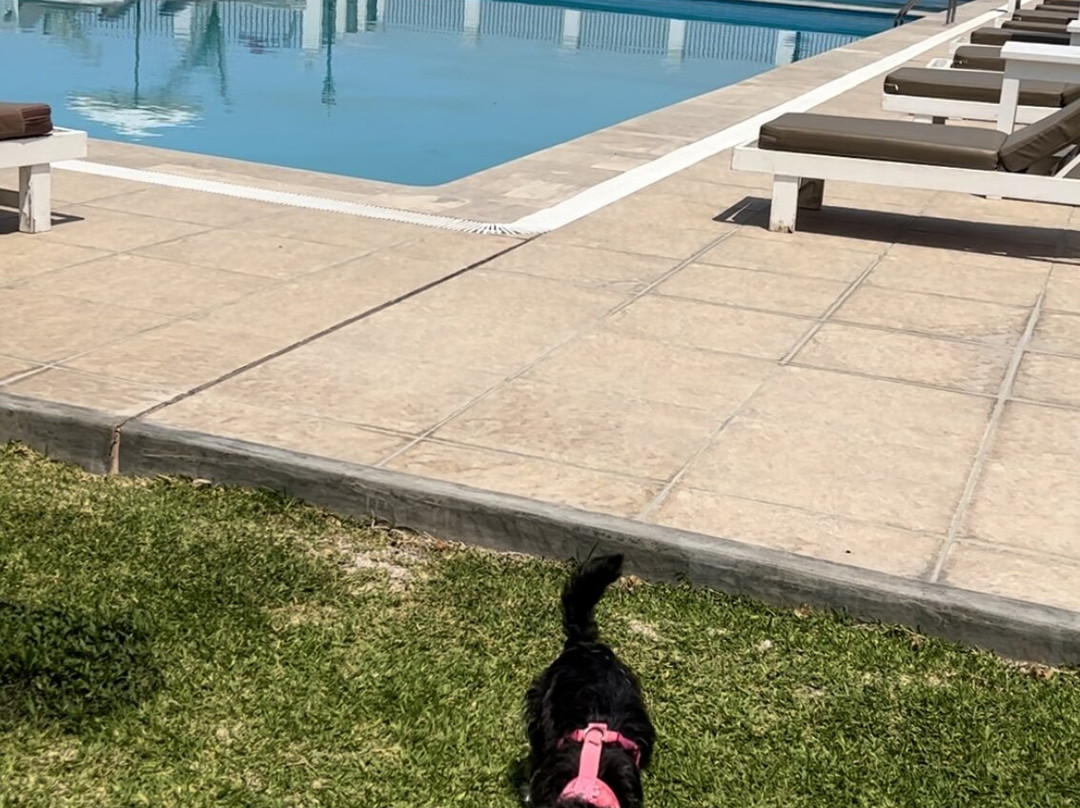 Hotel Bodega el Huarango主图