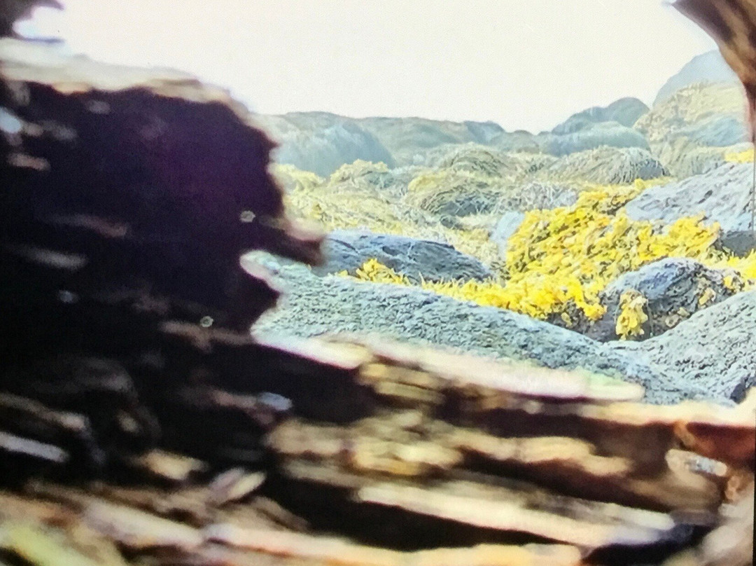 John's Cove Beach-Yarmouth必去景点