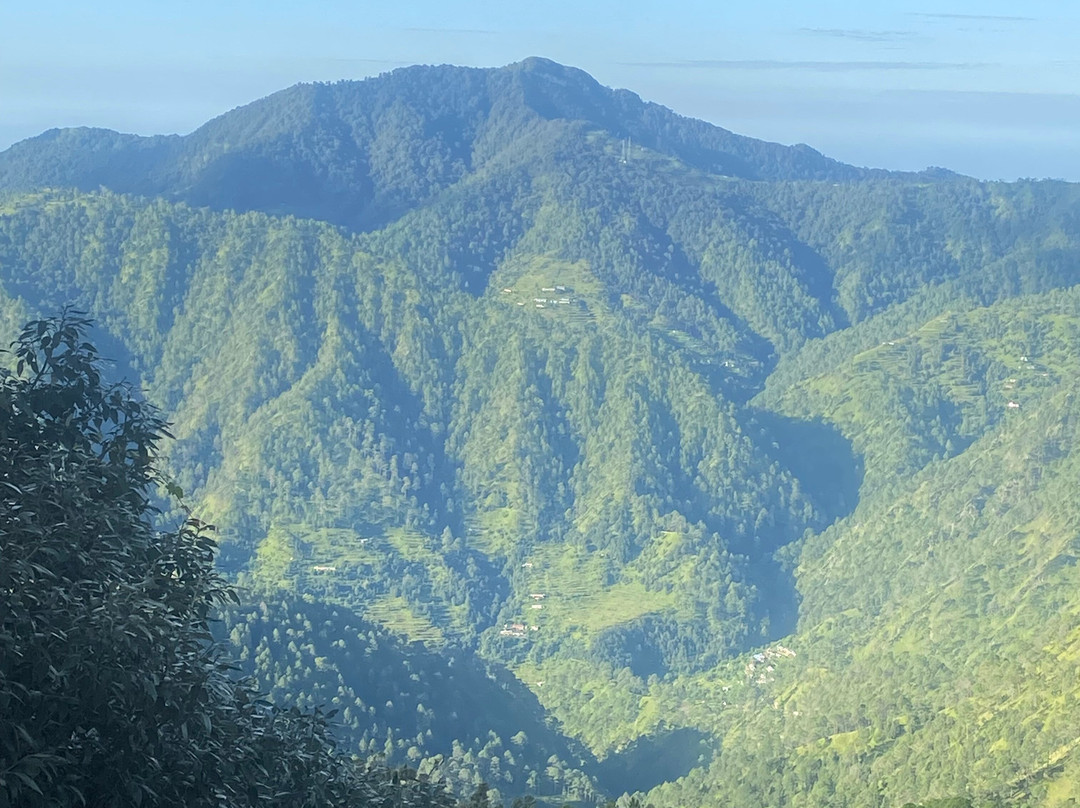 Club Mahindra Kanatal主图