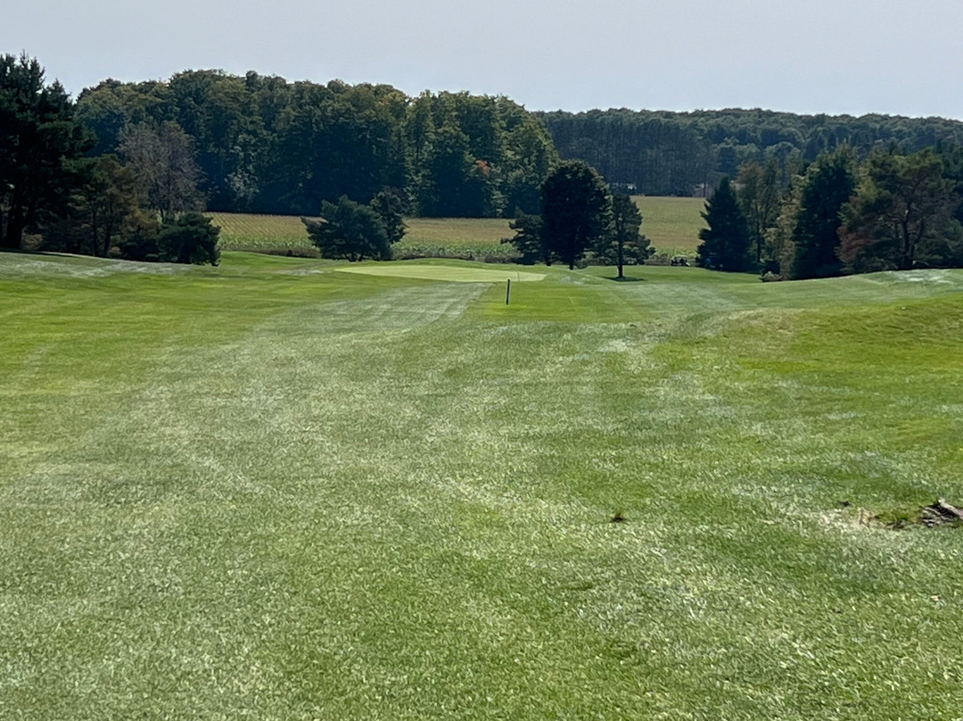 Timber Wolf Golf Club景点图片