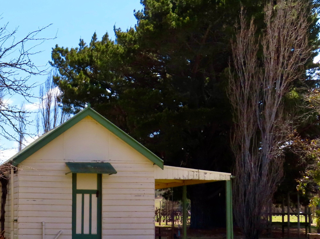 Vines & Wines-堪培拉必去景点