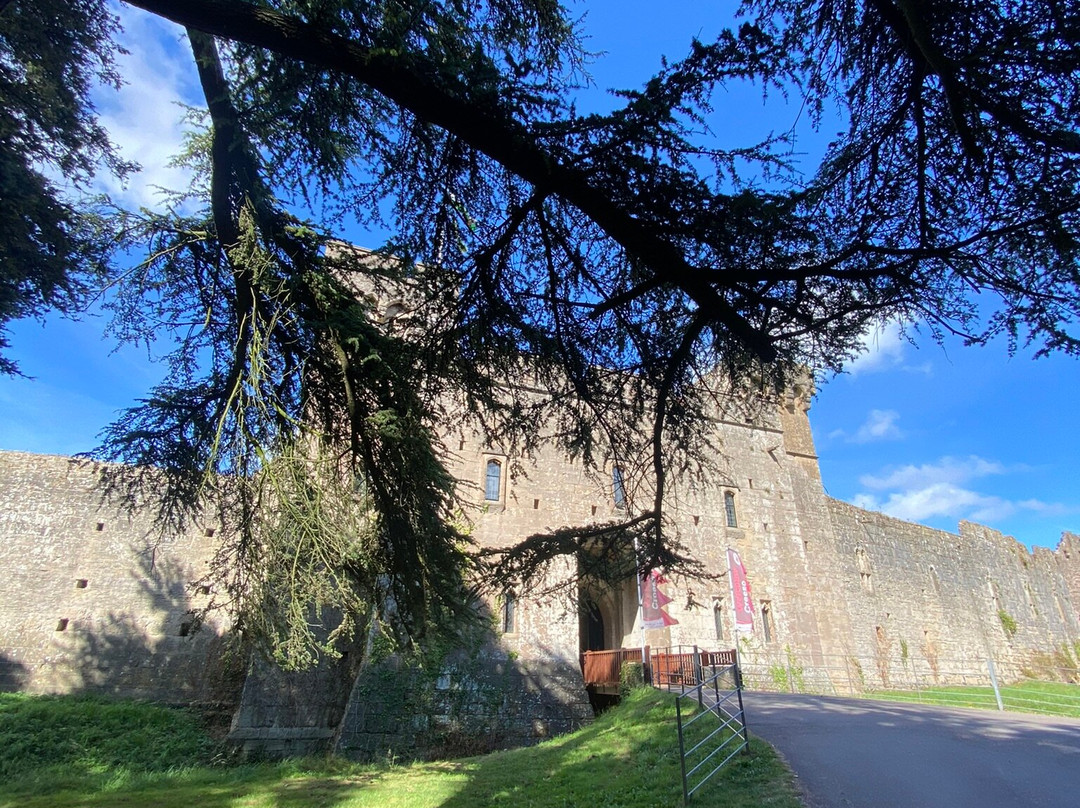 Caldicot Castle And Country Park景点图片