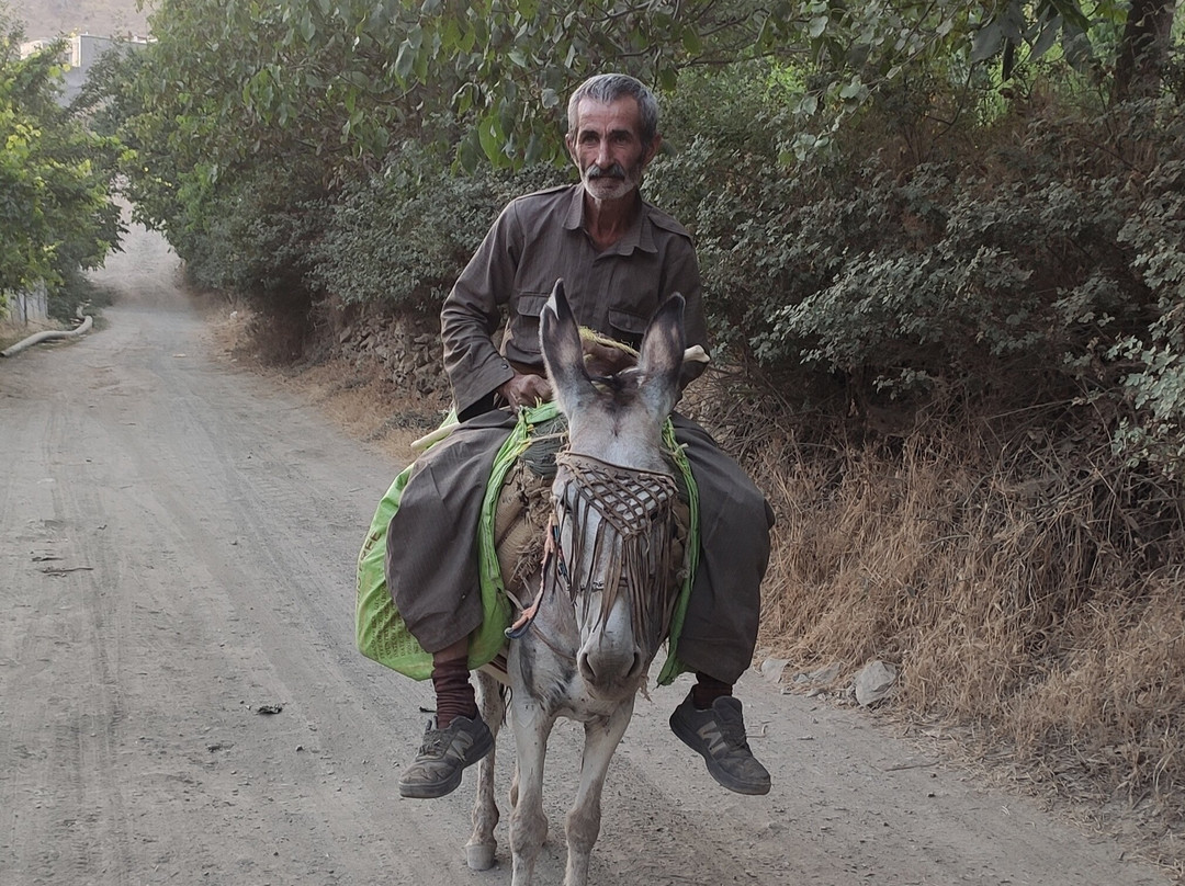 kurdistan with us景点图片