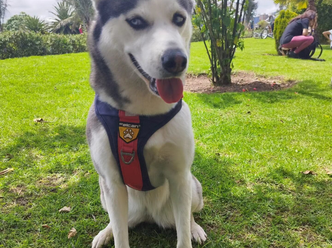 Biblioteca Virgilio-波哥大必去景点
