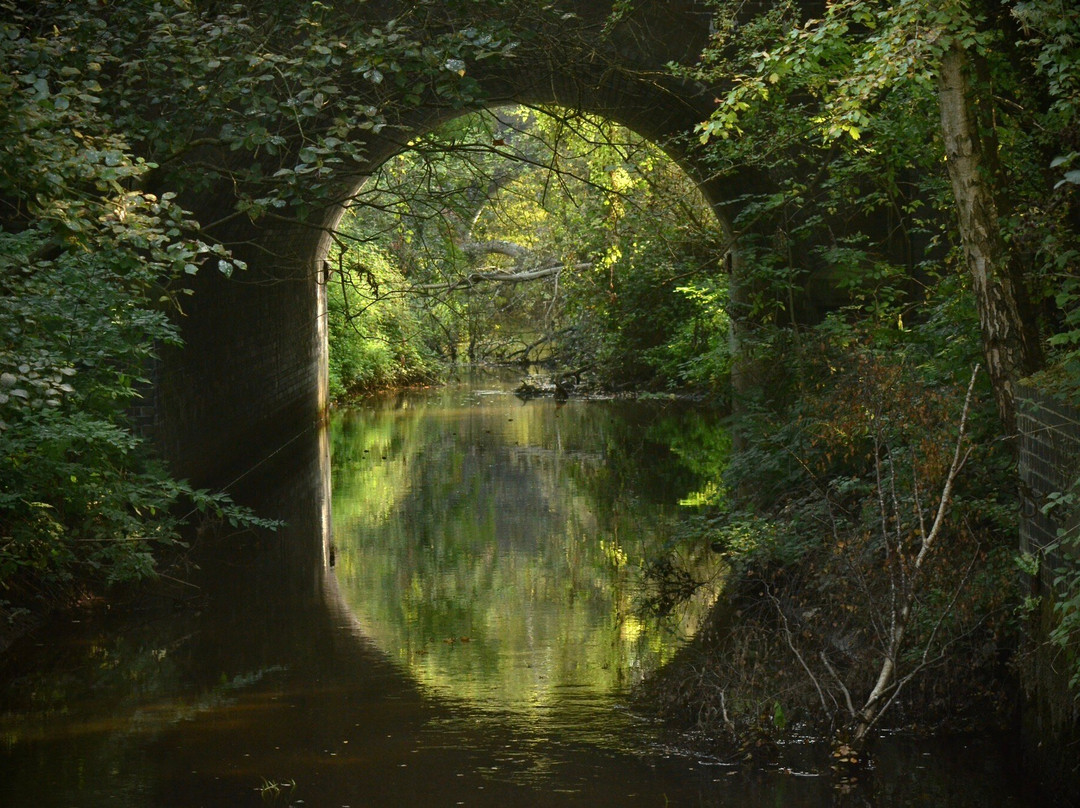 Potteric Carr Nature Reserve景点图片