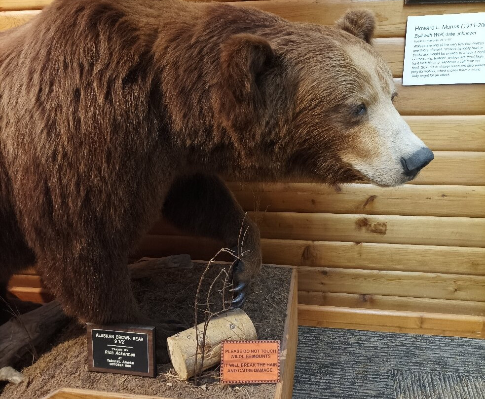 National Buffalo Museum景点图片