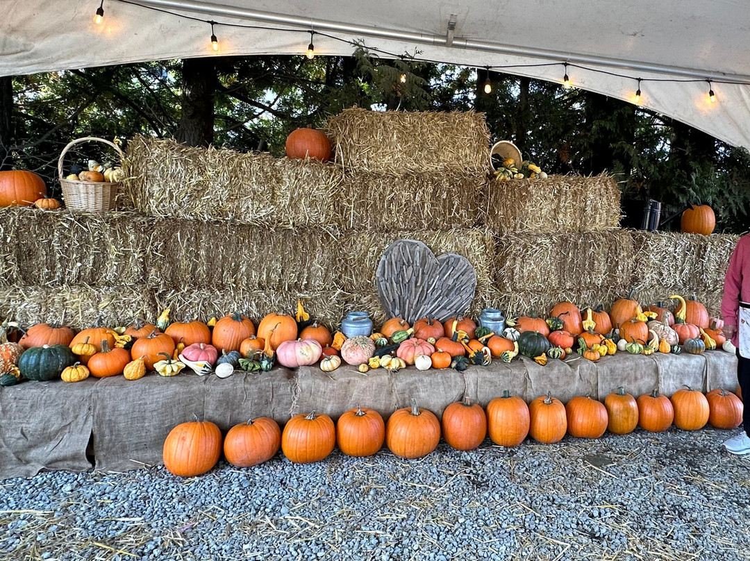 Emma Lea Farms-Delta必去景点