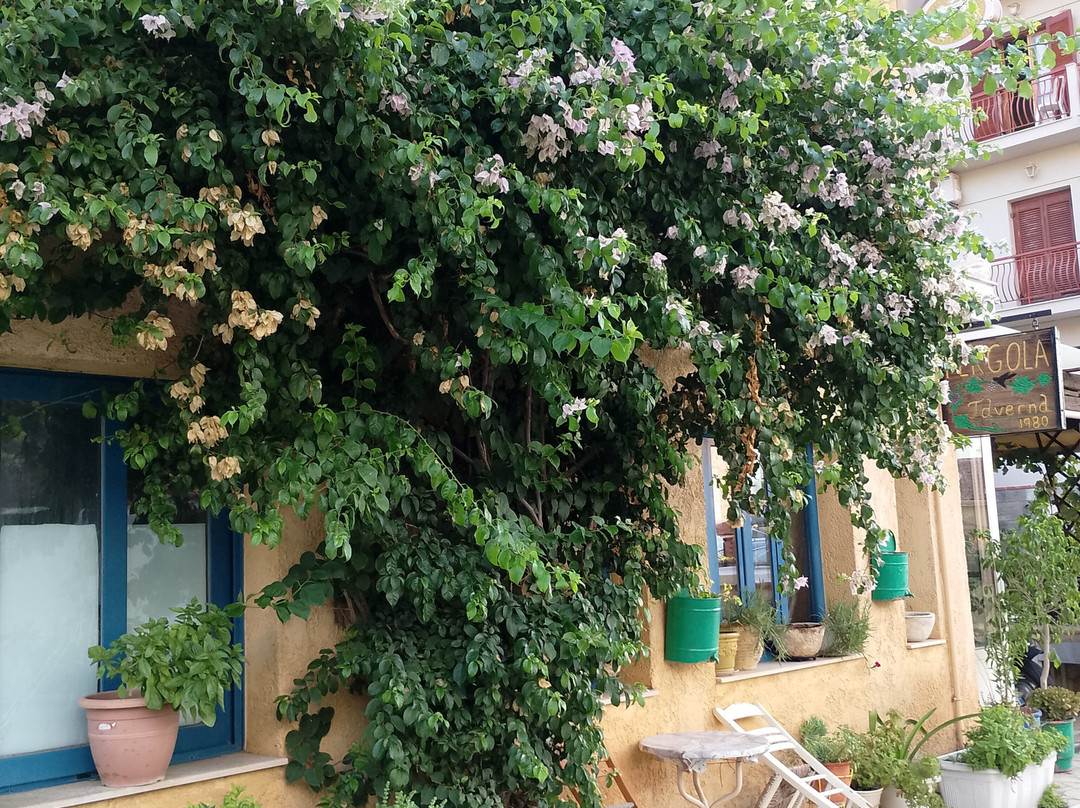 The Seasons of Nickolas主图