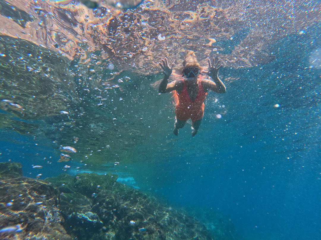 Madeira SUP Tours-沙尔必去景点