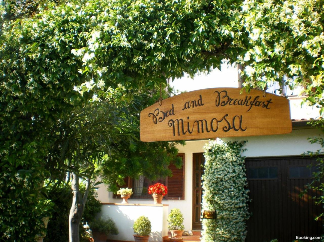 Mimosa B&B主图