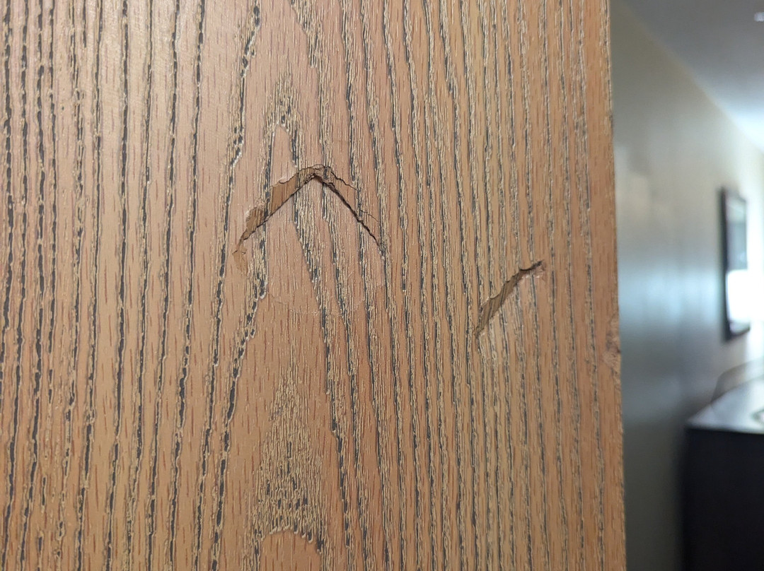 Best Western Crown Inn & Suites主图