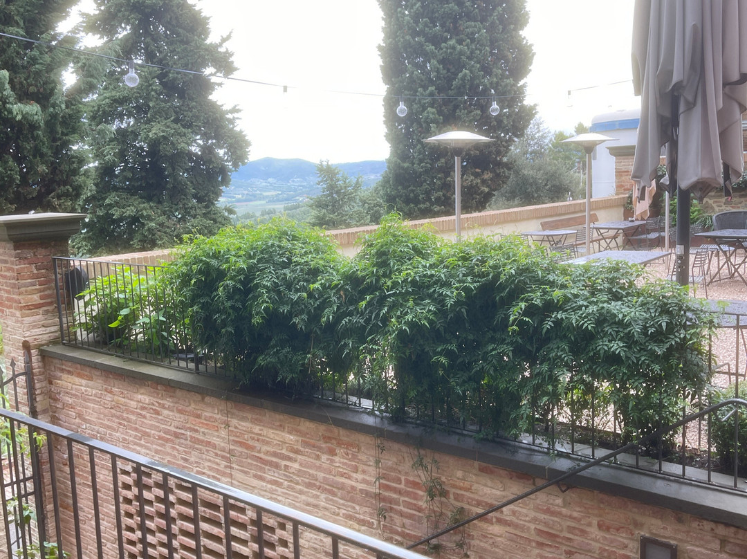 Rastrello Boutique Hotel主图