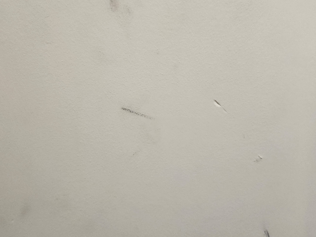 Travelodge by Wyndham Orangeburg主图