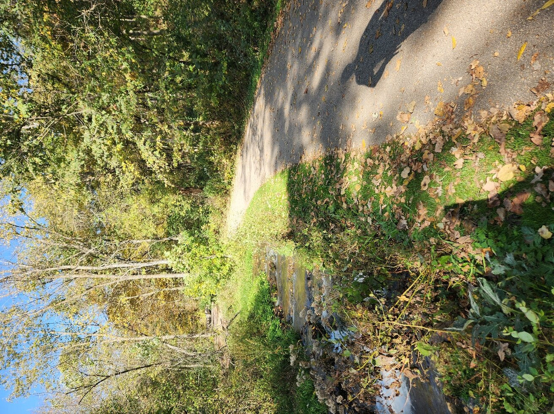 Dunnings Spring Park景点图片