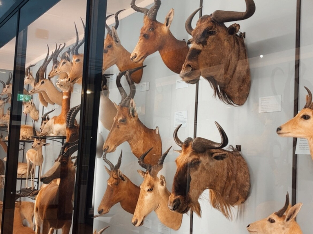 Natural History Museum at Tring景点图片