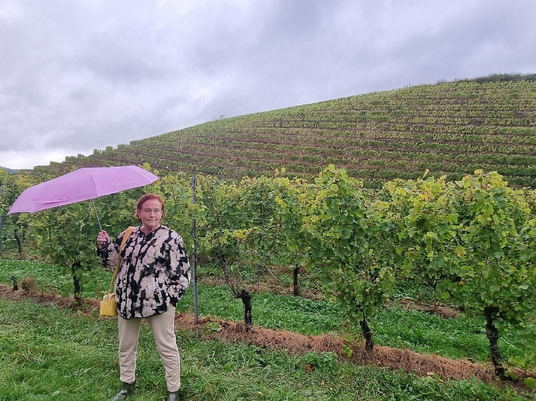 Weingut Georg Fritz von Nell-特里尔必去景点