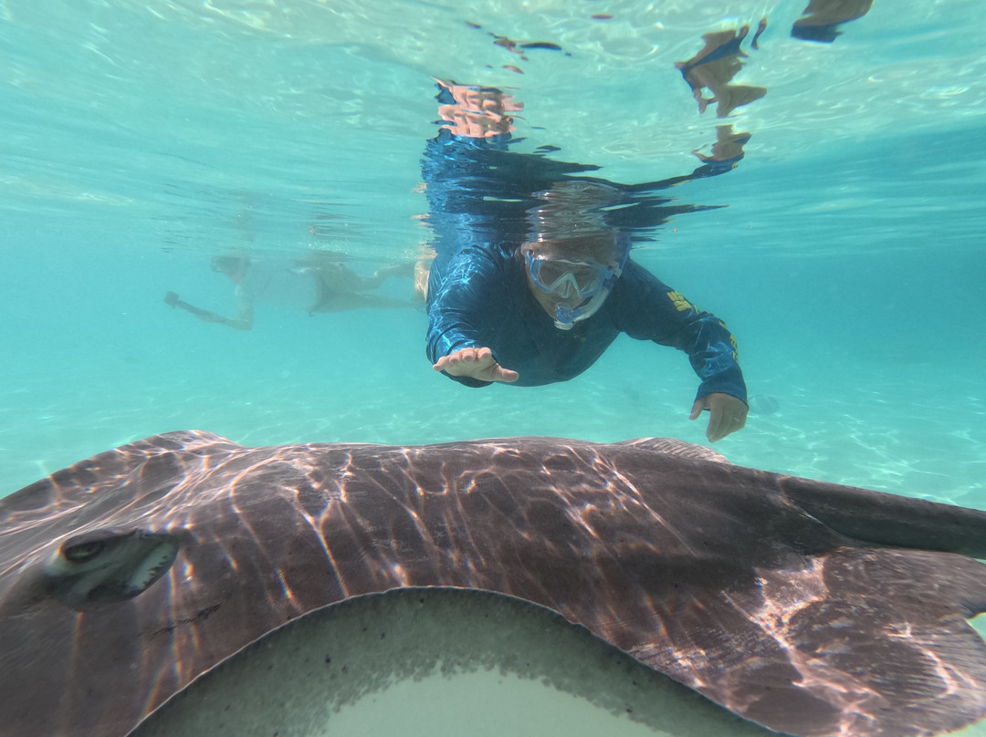 Mermaid Private Boat Tours-莫雷阿岛必去景点