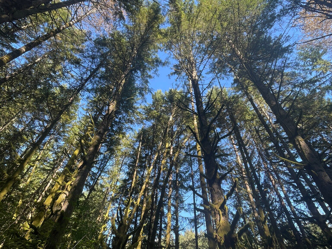 Lord Hill Regional Park景点图片