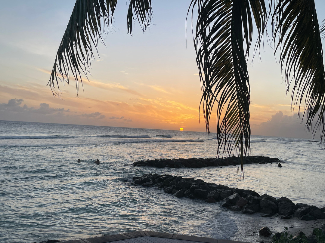 The Soco Hotel主图