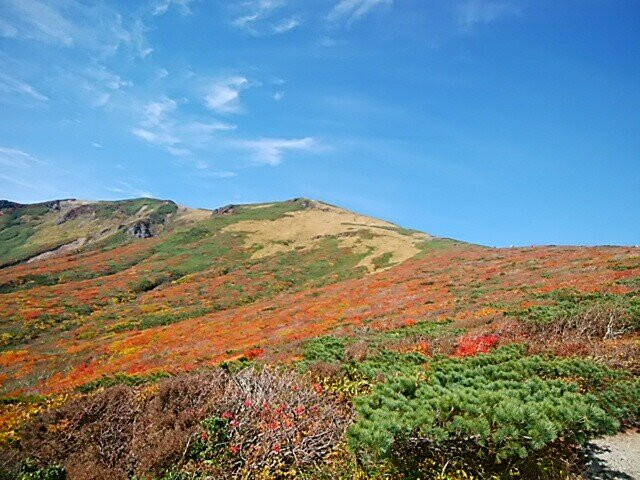 Mt. Kurikoma景点图片