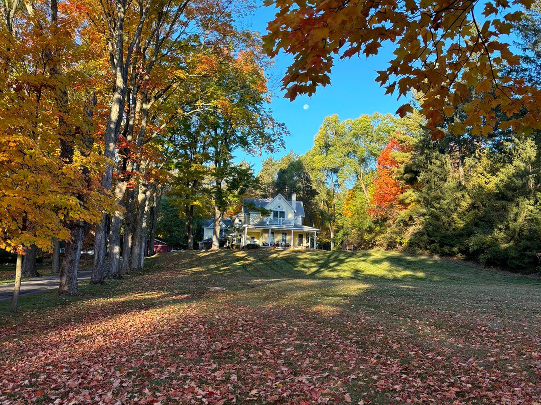 The Park Street Inn主图