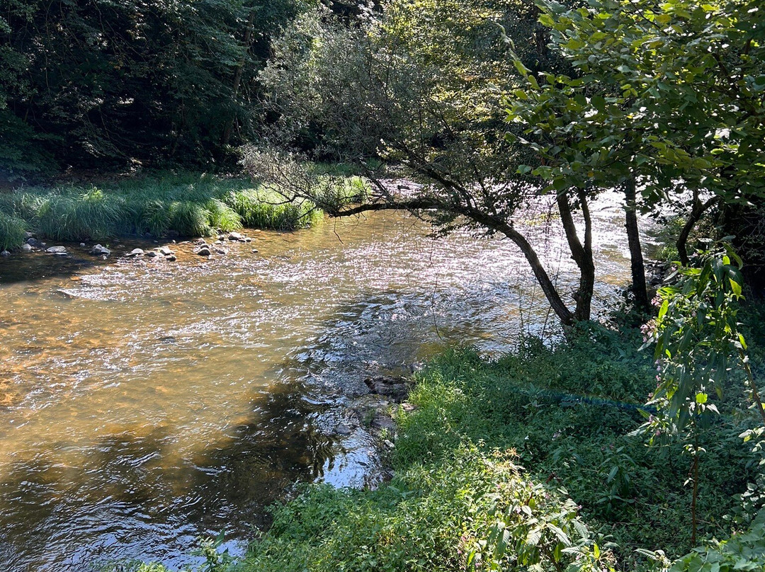 Le circuit des berges de l'Aveyron景点图片