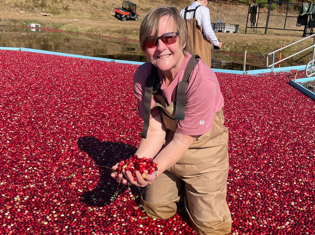 Hartley Family Farm Cranberry Bog Tours-Rochester必去景点