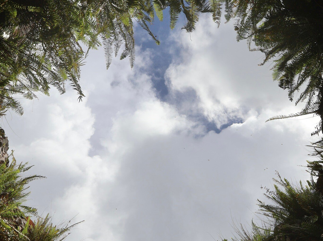 Catherineberg Ruins-圣约翰必去景点