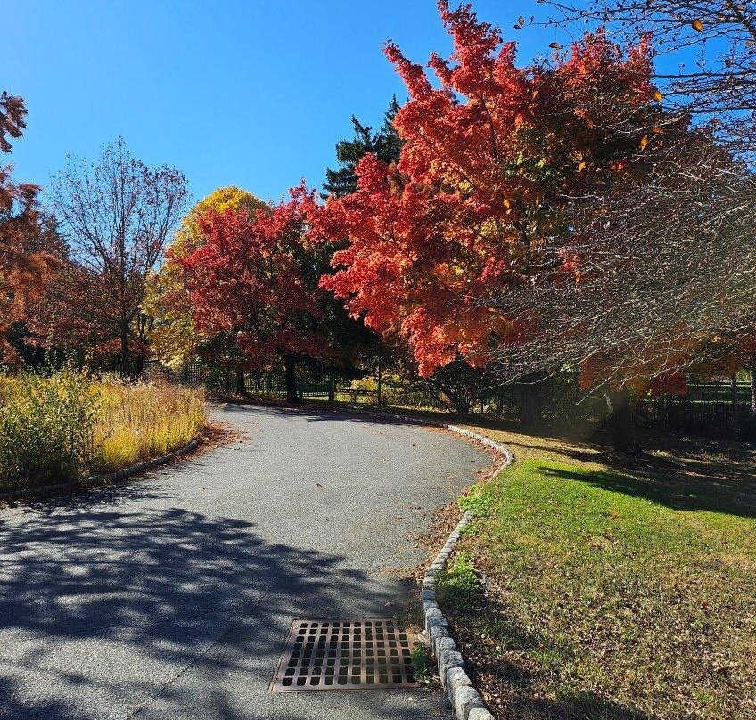 Lasdon Park-Somers必去景点