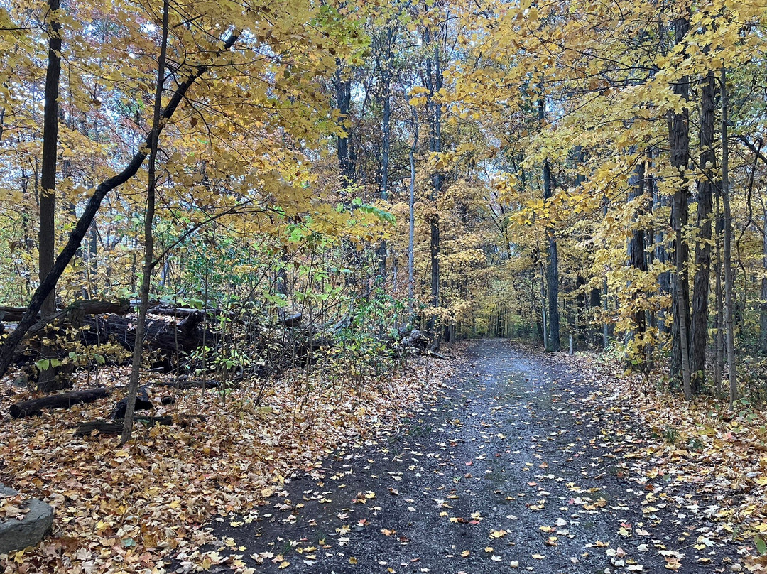 Schekelhoff Park-Tiffin必去景点