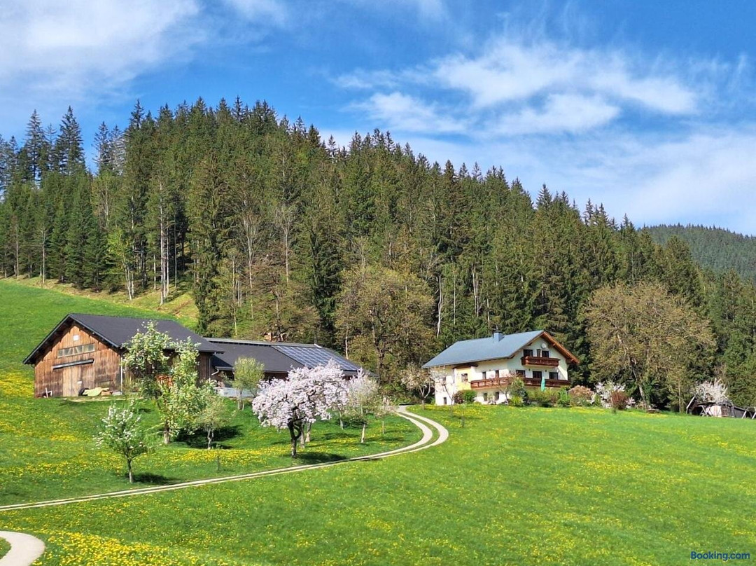 Biobauernhof Poidlbauer主图