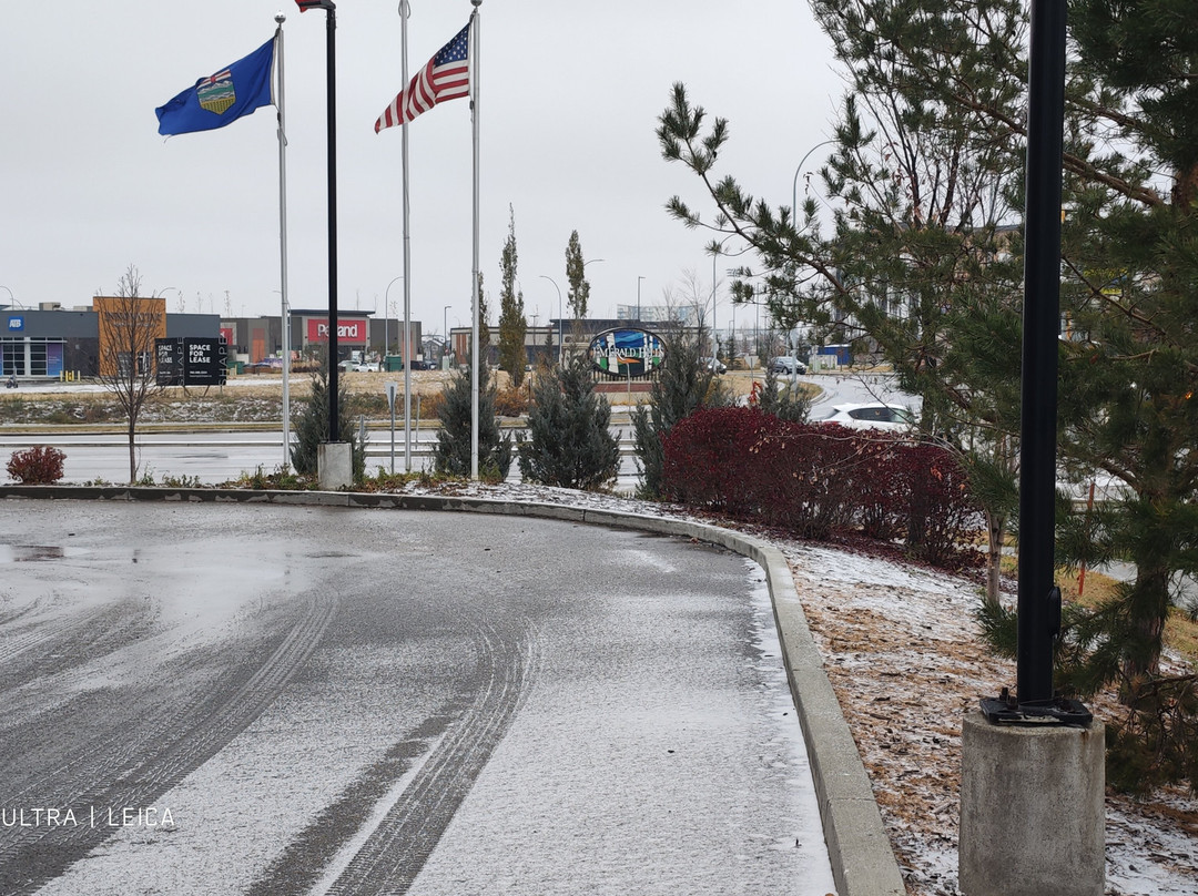 Four Points by Sheraton Edmonton West主图