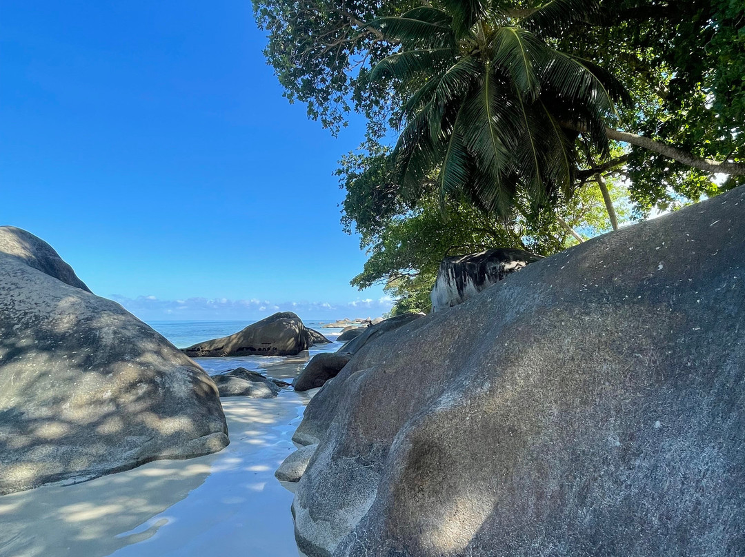 Romance Bungalows主图