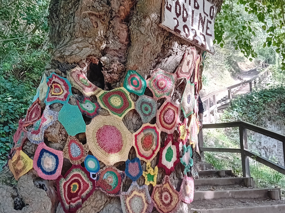 Krka National Park景点图片