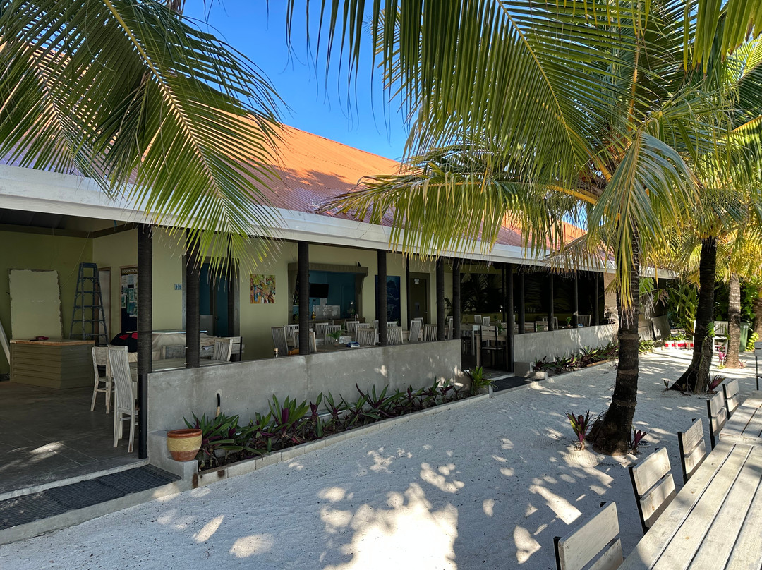 Tropical Village主图