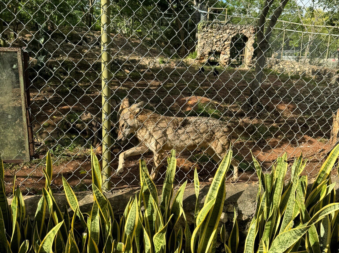 Vallazoo-巴利亚多利德必去景点