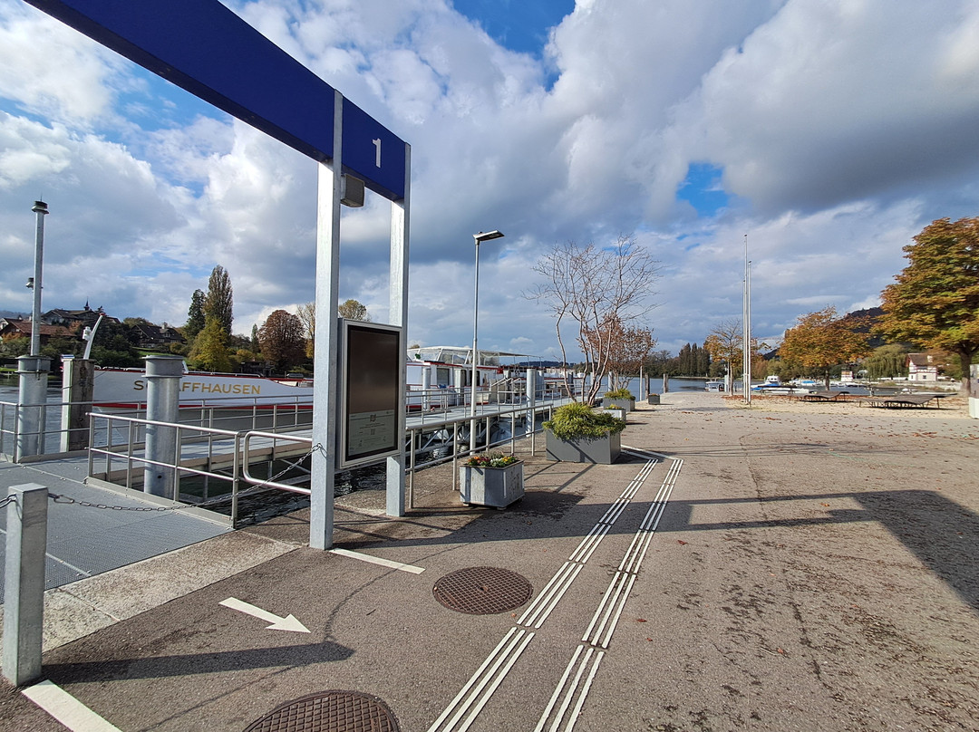 Hafen Stein Am Rhein-施泰因必去景点