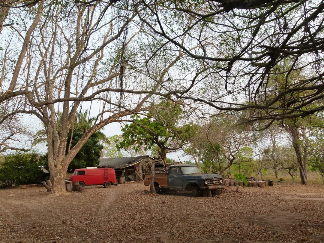 Finca Cacarachi-San Ignacio de Velasco必去景点